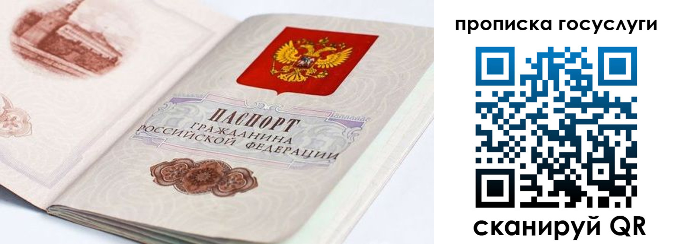 прописка гарантия в Торопеце